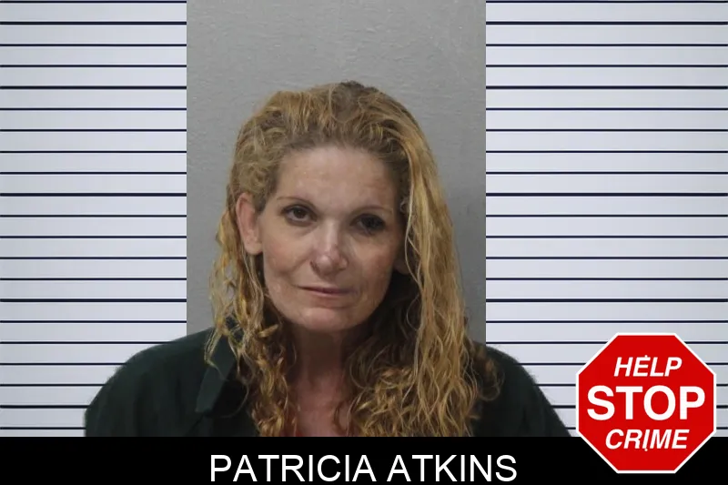 Patricia Atkins mugshot