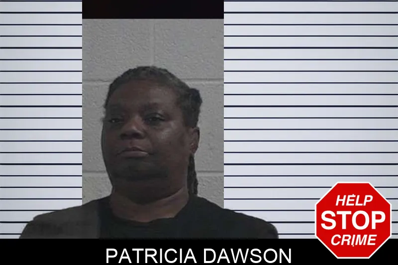Patricia Dawson mugshot – McDuffie County , Georgia Patricia Dawson mugshot