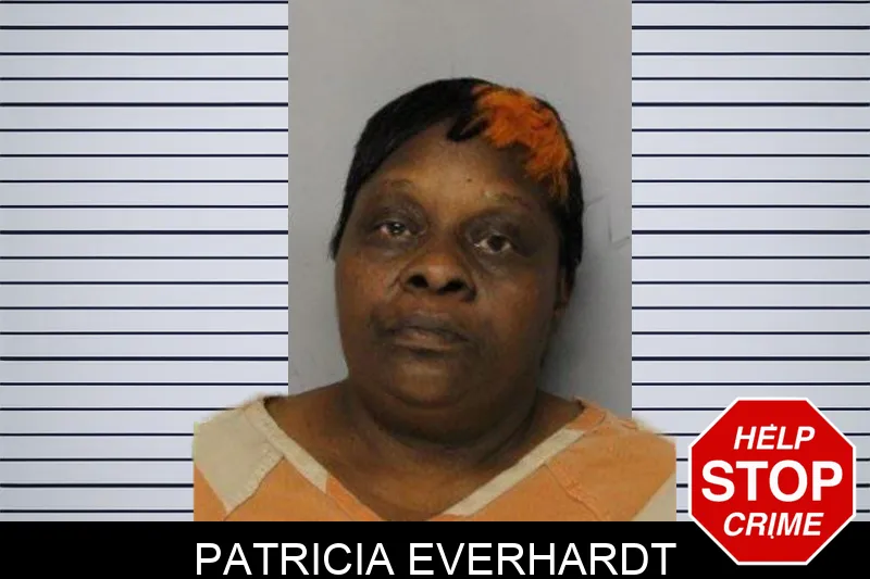 Patricia Everhardt mugshot – Hall County , Georgia Patricia Everhardt mugshot