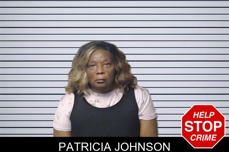 Patricia Johnson mugshot