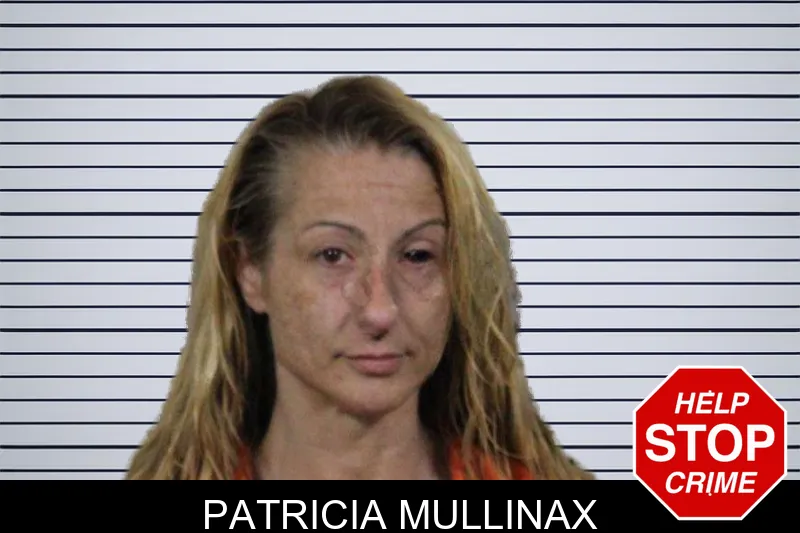 Patricia Mullinax mugshot