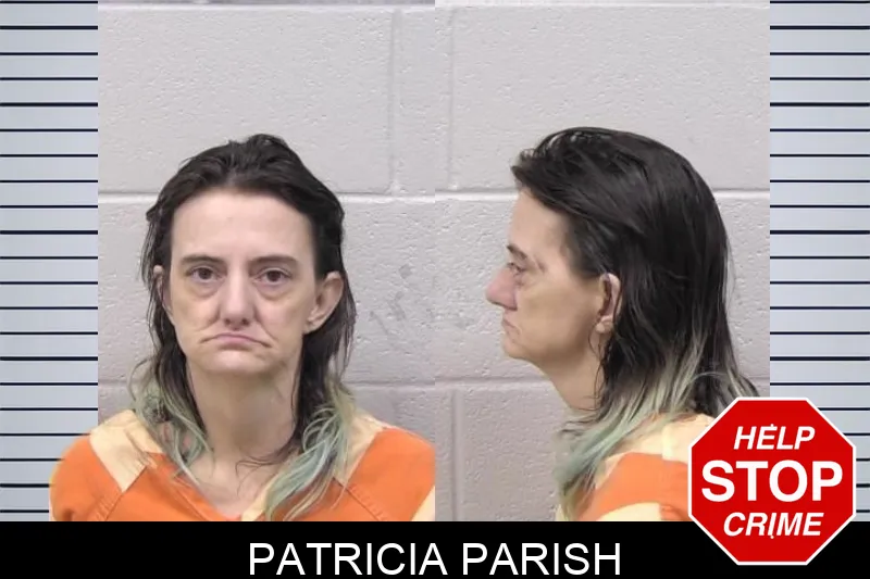 Patricia Parish mugshot – Paulding County , Georgia Patricia Parish mugshot