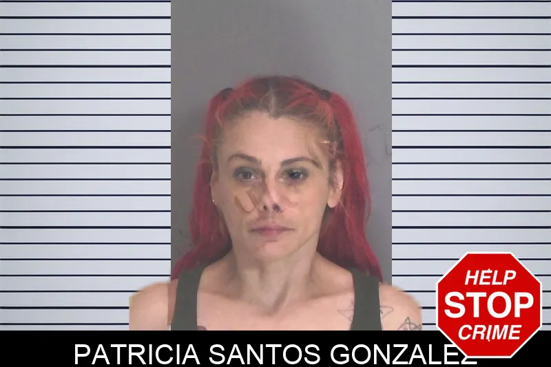 Patricia Santos Gonzalez mugshot