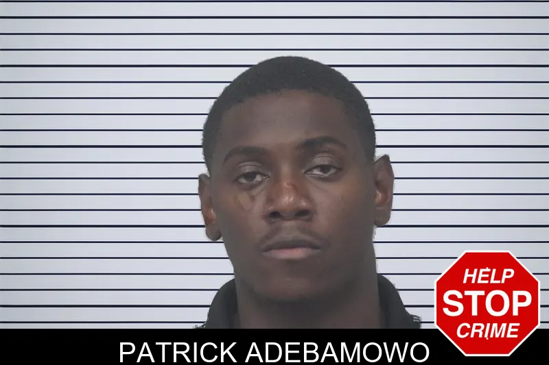 Patrick Adebamowo mugshot – Gwinnett County , Georgia Patrick Adebamowo mugshot