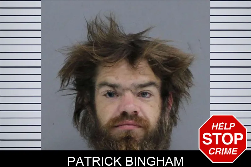 Patrick Bingham mugshot