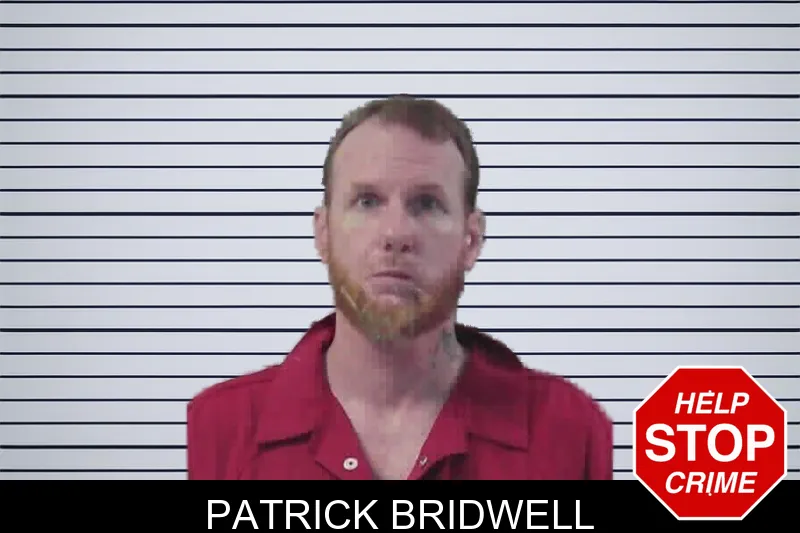 Patrick Bridwell mugshot