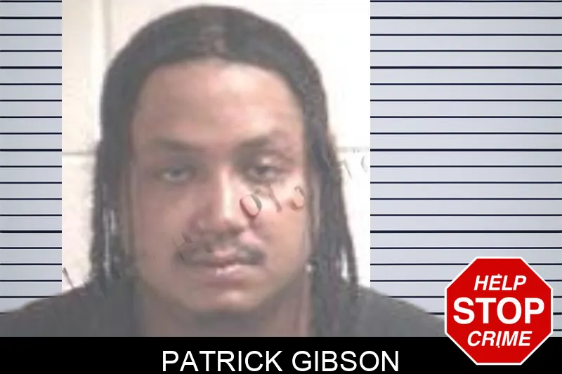 Patrick Gibson mugshot
