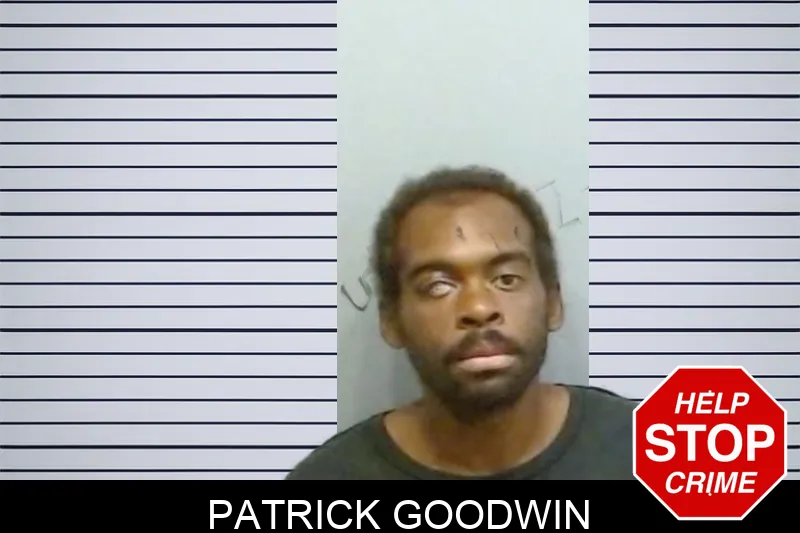 Patrick Goodwin mugshot – Fulton County , Georgia Patrick Goodwin mugshot