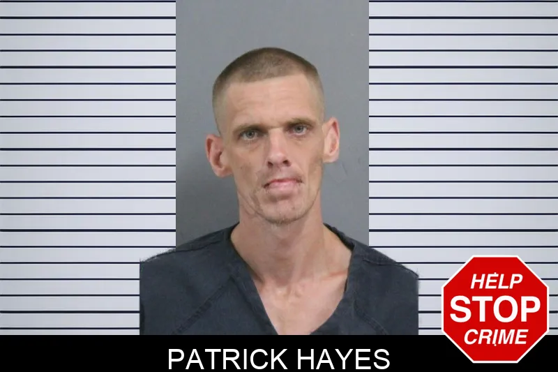 Patrick Hayes mugshot