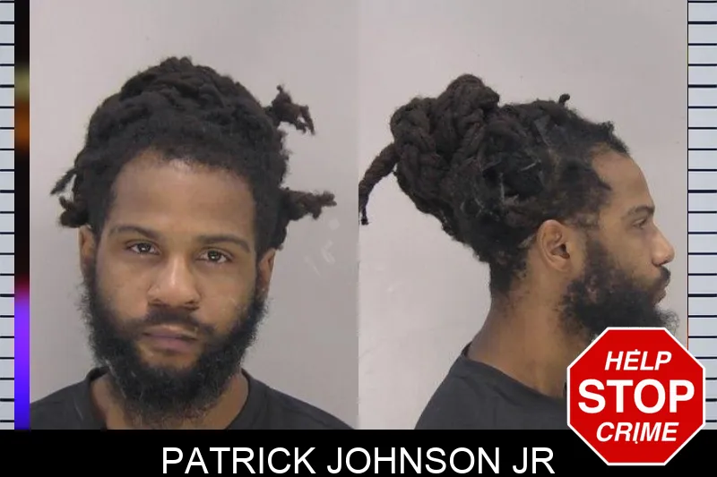Patrick Johnson Jr mugshot
