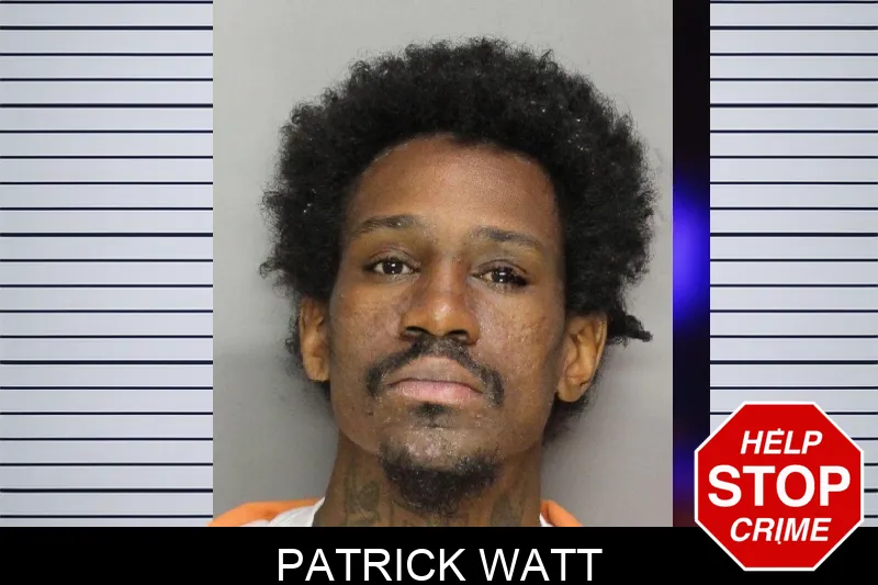 Patrick Watt mugshot – Cobb County , Georgia Patrick Watt mugshot