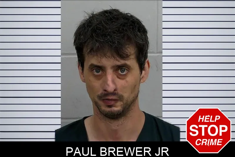 Paul Brewer Jr mugshot
