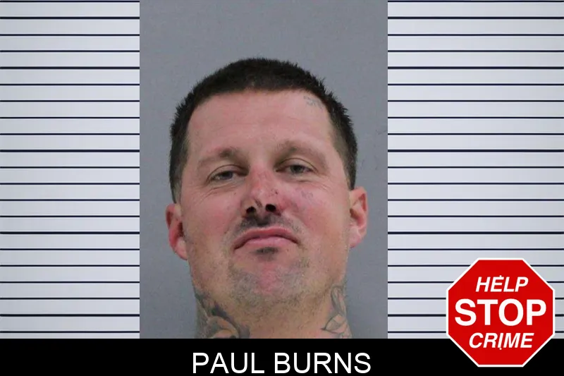 Paul Burns mugshot