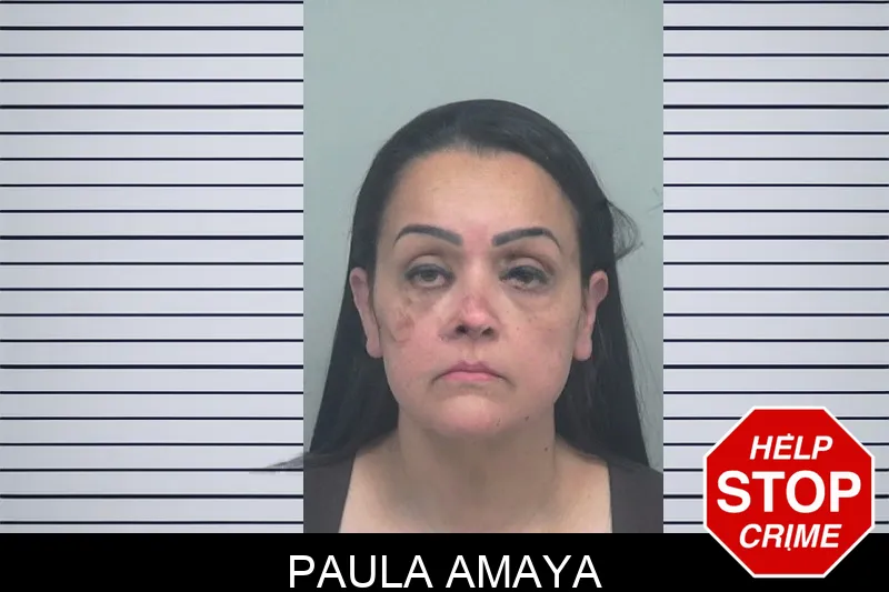 Paula Amaya mugshot – Gwinnett County , Georgia Paula Amaya mugshot