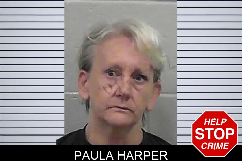 Paula Harper mugshot