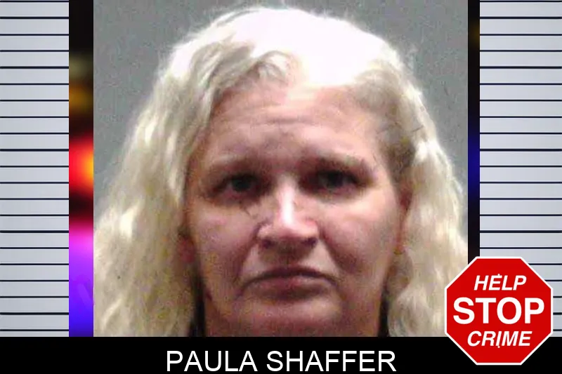 Paula Shaffer mugshot – Burke County , Georgia Paula Shaffer mugshot