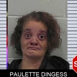 Paulette Dingess mugshot