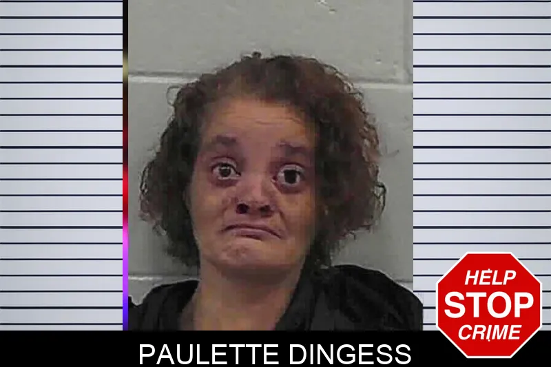 Paulette Dingess mugshot