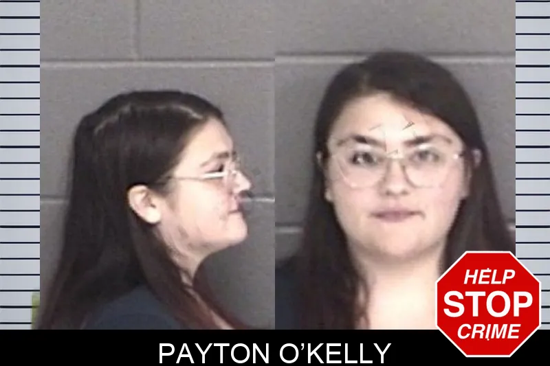 Payton O’Kelly mugshot – Barrow County , Georgia Payton O’Kelly mugshot