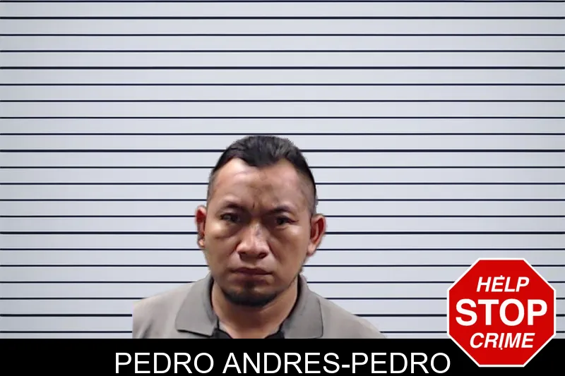 Pedro Andres-Pedro mugshot – DeKalb County , Georgia Pedro Andres-Pedro mugshot