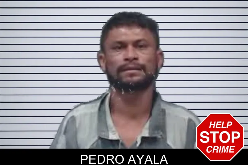 Pedro Ayala mugshot