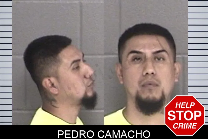Pedro Camacho mugshot