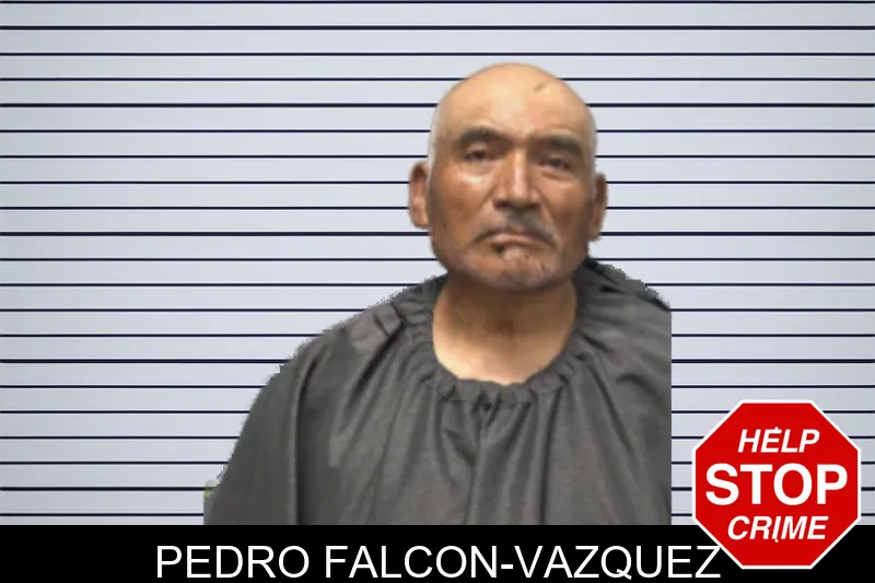Pedro Falcon-Vazquez mugshot