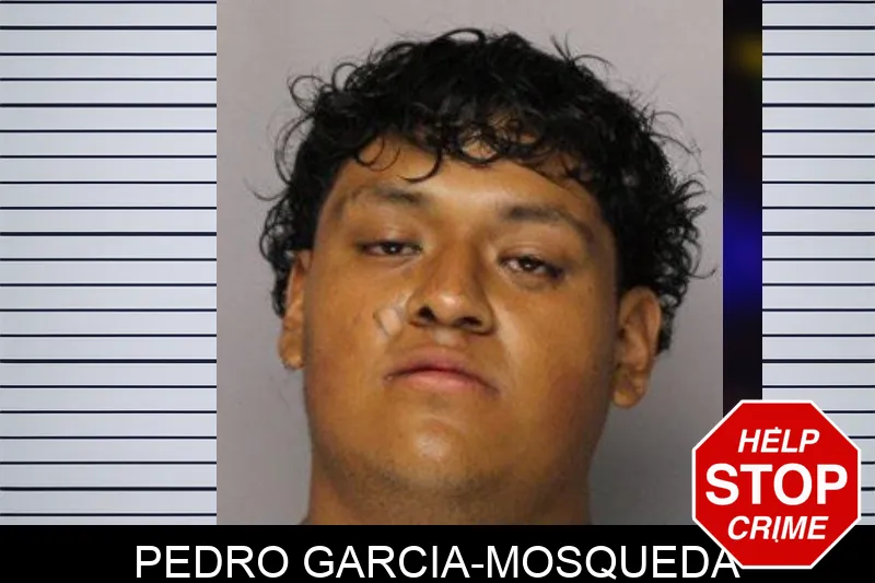Pedro Garcia-Mosqueda mugshot – Hall County , Georgia Pedro Garcia-Mosqueda mugshot