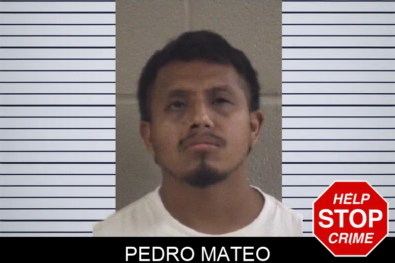 Pedro Mateo mugshot