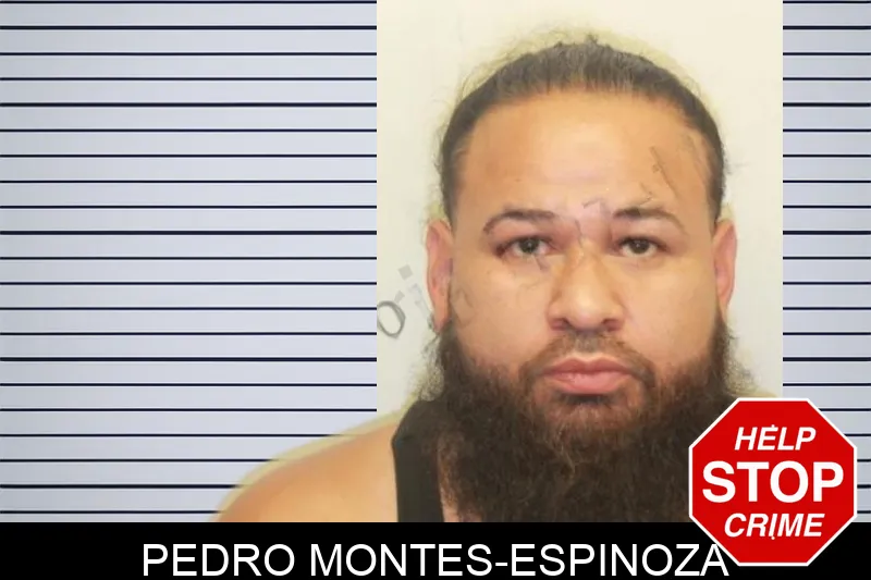 Pedro Montes-Espinoza mugshot – Chatham County , Georgia Pedro Montes-Espinoza mugshot