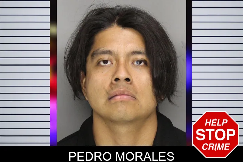Pedro Morales mugshot
