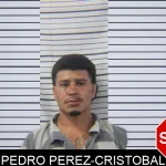 Pedro Perez-Cristobal mugshot – Stephens County , Georgia Pedro Perez-Cristobal mugshot