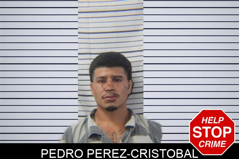 Pedro Perez-Cristobal mugshot – Stephens County , Georgia Pedro Perez-Cristobal mugshot