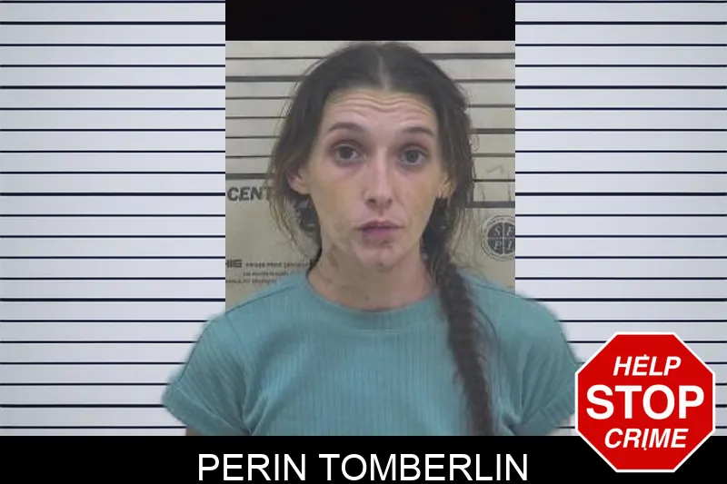 Perin Tomberlin mugshot – Coffee County , Georgia Perin Tomberlin mugshot