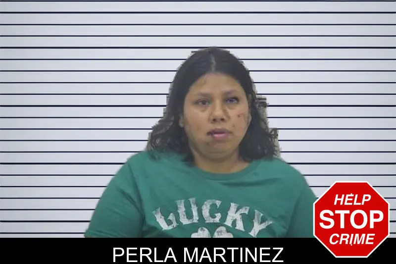 Perla Martinez mugshot