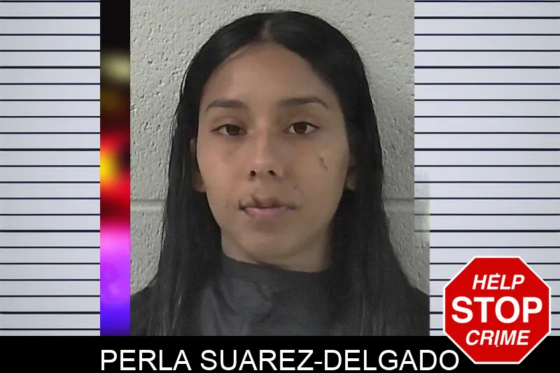 Perla Suarez-Delgado mugshot