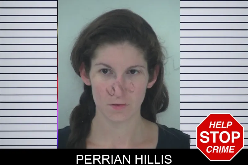 Perrian Hillis mugshot – Fayette County , Georgia Perrian Hillis mugshot