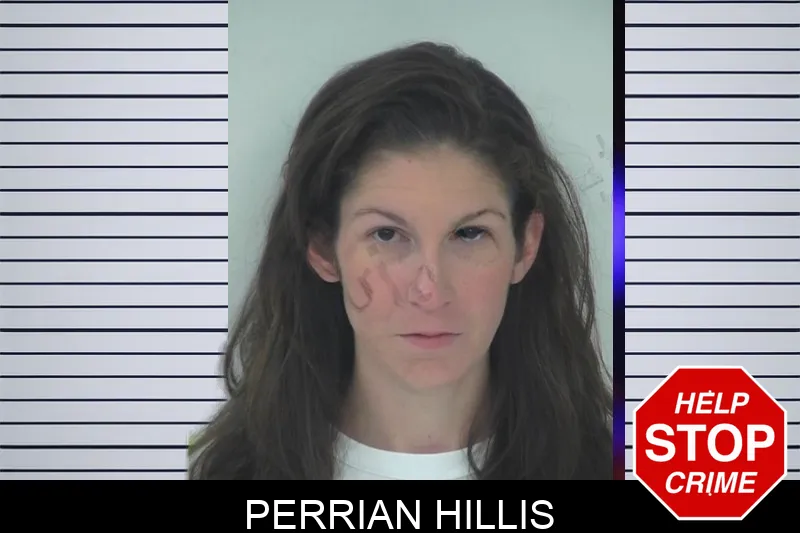 Perrian Hillis mugshot