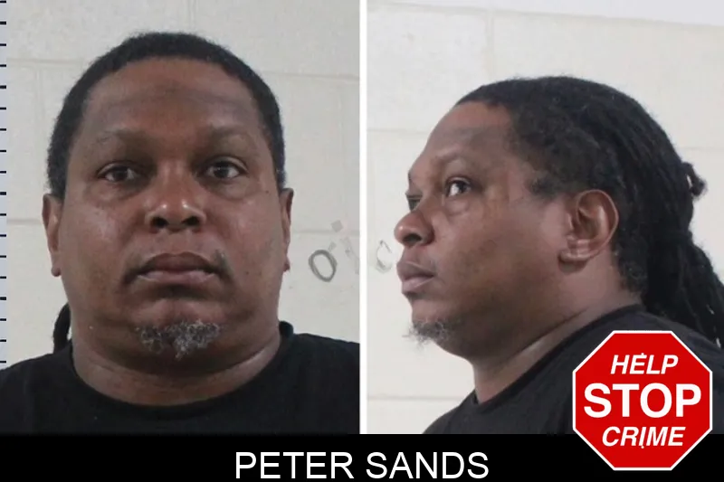 Peter Sands mugshot – Houston County , Georgia Peter Sands mugshot