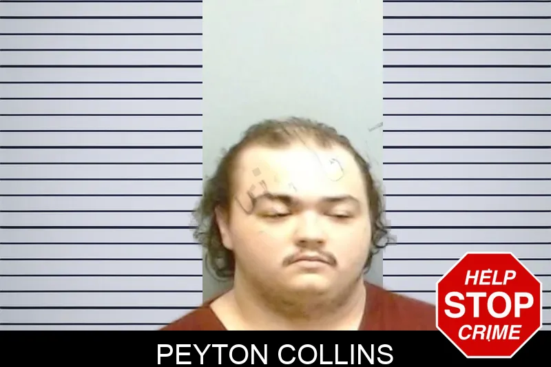 Peyton Collins mugshot