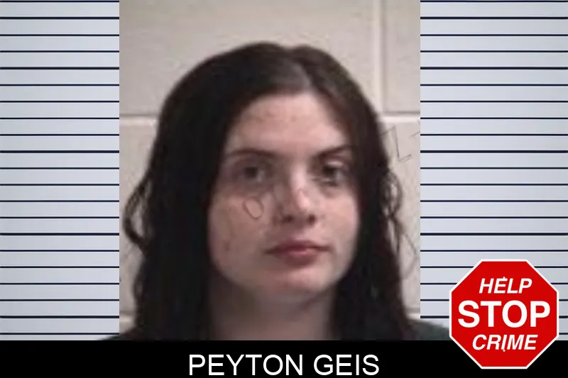 Peyton Geis mugshot – Henry County , Georgia Peyton Geis mugshot