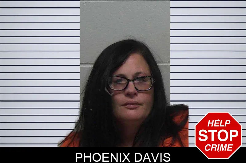 Phoenix Davis mugshot