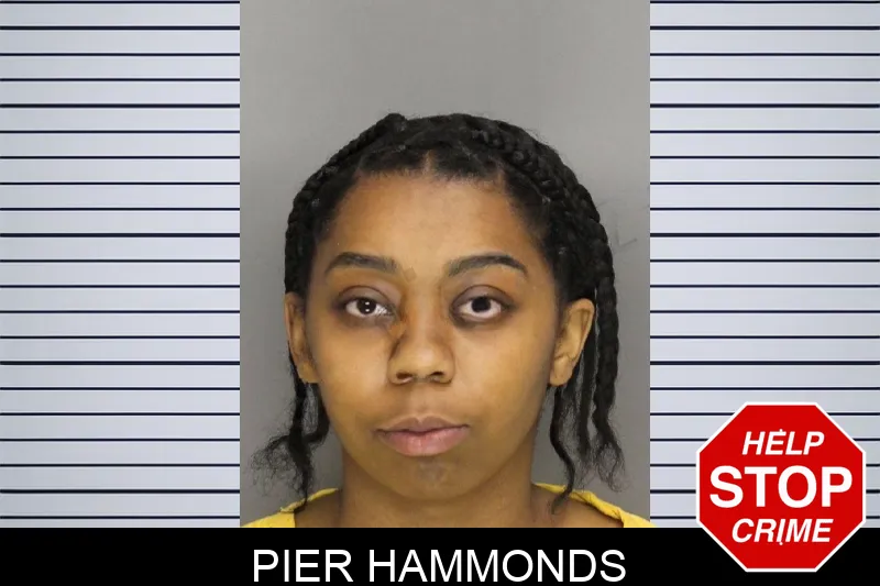 Pier Hammonds mugshot – Cobb County , Georgia Pier Hammonds mugshot