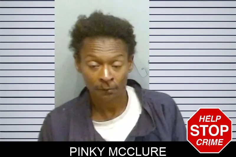Pinky McClure mugshot