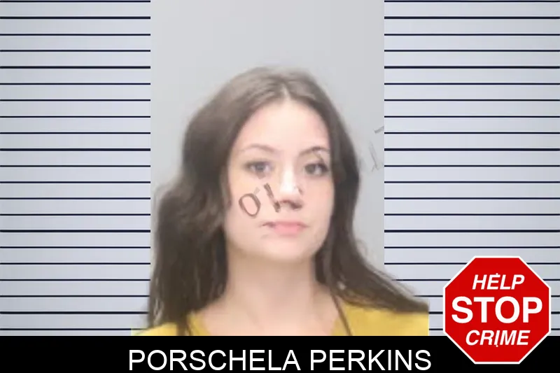 Porschela Perkins mugshot