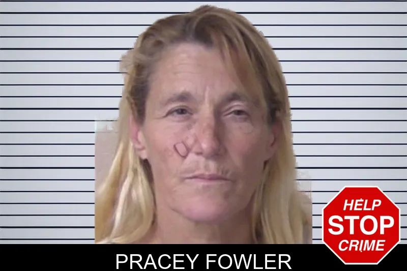 Pracey Fowler mugshot