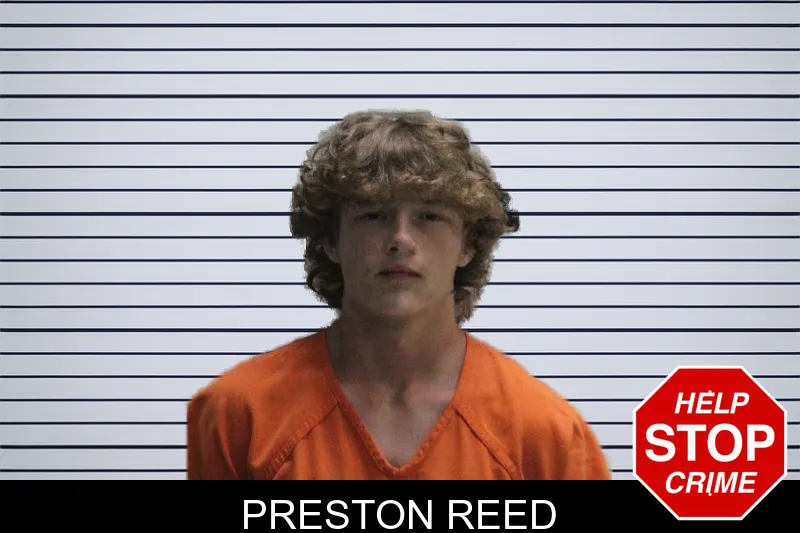 Preston Reed mugshot
