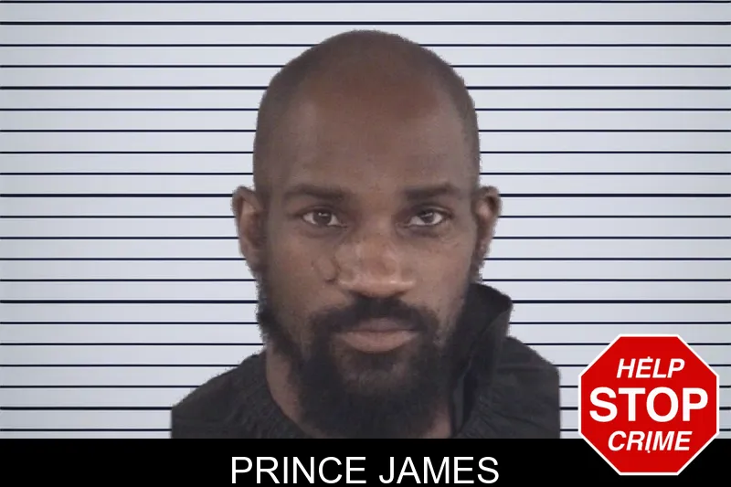 Prince James mugshot