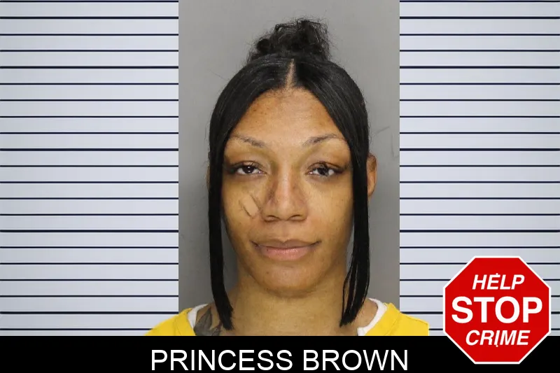 Princess Brown mugshot – Cobb County , Georgia Princess Brown mugshot