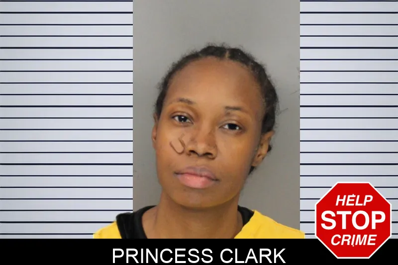 Princess Clark mugshot – Cobb County , Georgia Princess Clark mugshot
